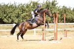 SBM_000819