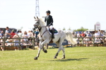SBM_07422