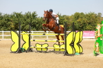 SBM_002217