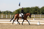 SBM_006855