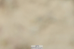 230701A-150800-07045