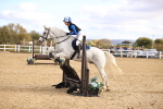 SBM_002436