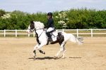 SBM_007697