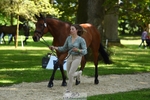 377-GOLD_NUGGET-Jillian_Giessen-WEDTrotUp+DR portfolio