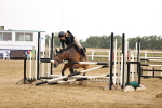 SBM_025069