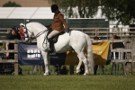 SBM_09702