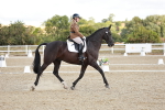 SBM_003582
