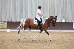 SBM_000728