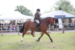 SBM_11172