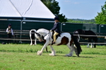 SBM_09332