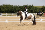 SBM_004158