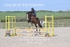 BPP_1435