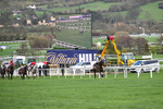 130326-Race 5-Gaelic Warrior-2582