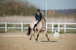SJ3_0997