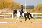 SBM_001702