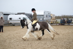 SBM_007986
