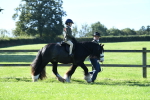 SBM_36724