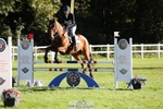 641-SILVER.ROCK-Lucy.Boultbee-brooks-TrotUp+SJ portfolio