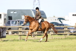 SBM_12525
