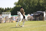 SBM_16119