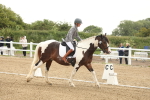 SBM_007145