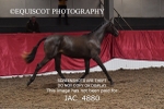 JAC_4880