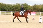 SBM_001815