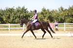 SBM_006600