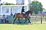 SBM_18261