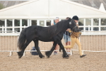 SBM_08429