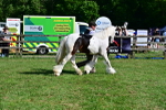 SBM_10041
