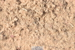 230810A-093846-00112