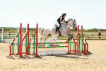 SBM_006293