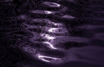 Reflections_25220_RLP0061
