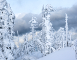 Winter - 30