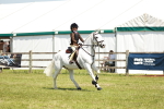 SBM_15624