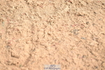 240720A-093531-13456
