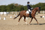 SBM_022614
