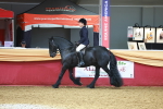 SBM_20479