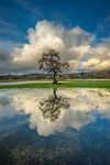 z3559 Reflections in the Flood, Alverstone