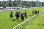 Race 3 2.40pm Hanson Springs Stayers Handicap portfolio