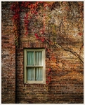 Autumn - Wallington Hall