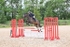 BPP_8373
