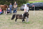 WJ6_5686
