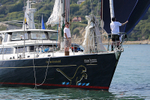 140621 OCEAN LEOPARD K1365T IMG_8210