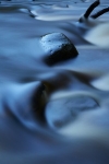 River Heart
