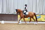 SBM_003677