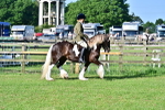 SBM_11375