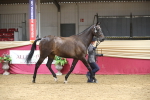 SBM_05480