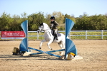 SBM_000247